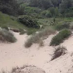 Dalile Aan Zee Vlakbij Het Chalet IJmuiden