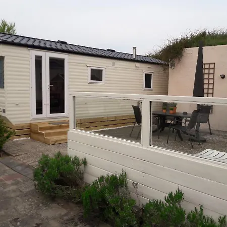 Dalile Aan Zee Vlakbij Het