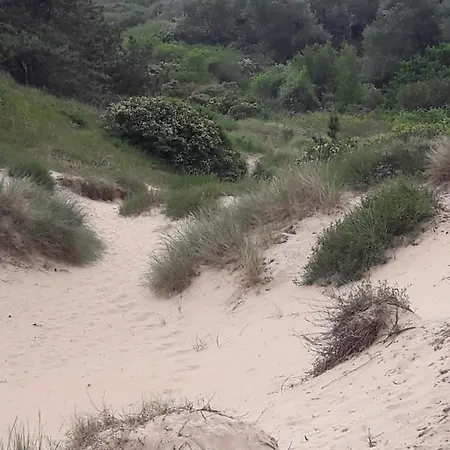Dalile Aan Zee Vlakbij Het Chalet IJmuiden