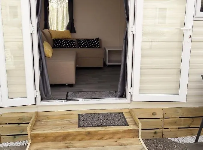 Dalile Aan Zee Vlakbij Het *