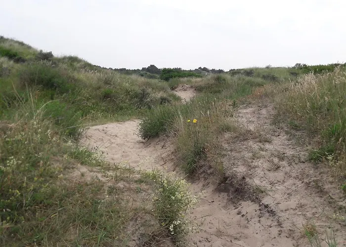 Dalile Aan Zee Vlakbij Het Chalet *