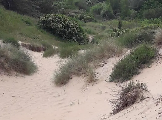 Dalile Aan Zee Vlakbij Het Chalet IJmuiden