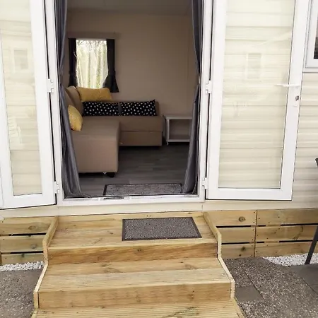 Dalile Aan Zee Vlakbij Het *