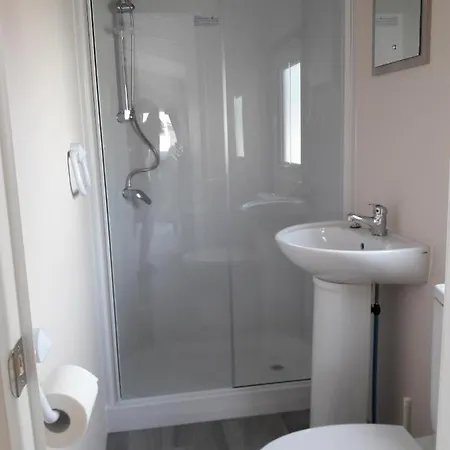 Dalile Aan Zee Vlakbij Het *